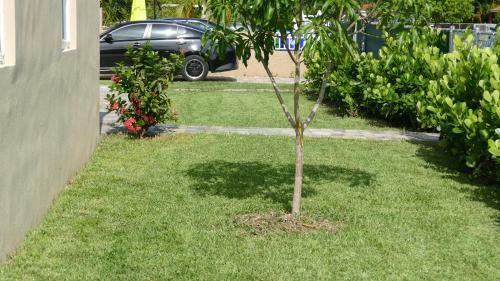 Miami-airport Oasis Vip House