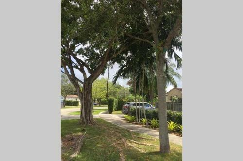 Beautiful Quiet Neighborhood