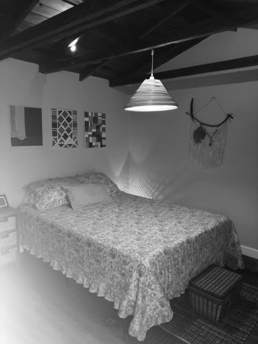 Apartamento V - Private Studio Cabin Steps From Calle 8 (ap 5)