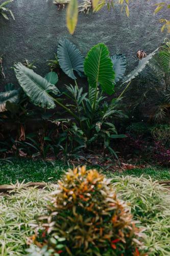 Lodge Rahayu Guest House Ubud