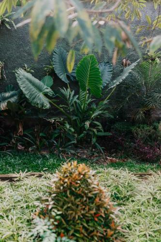 Lodge Rahayu Guest House Ubud