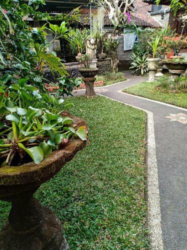 Hostal Degeg Ubud Homestay