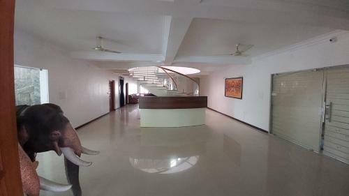 Hotel Palace Avenue Hill Resort
