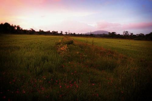 The Creek Coorg