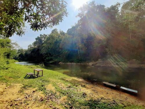 The Creek Coorg