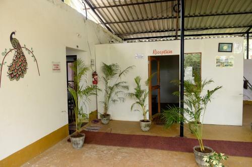 Hostal Maria Guest House