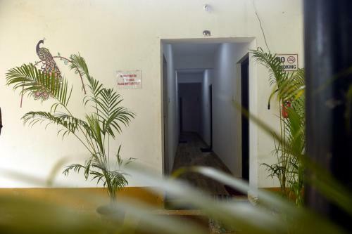 Hostal Maria Guest House