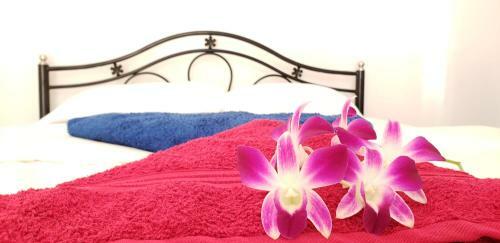 Hostal Palm Breeze Suites