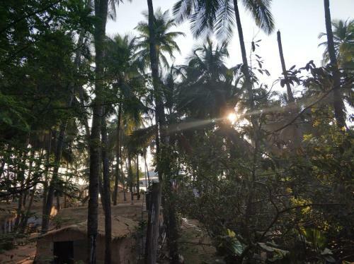 Hostal Palm Breeze Suites