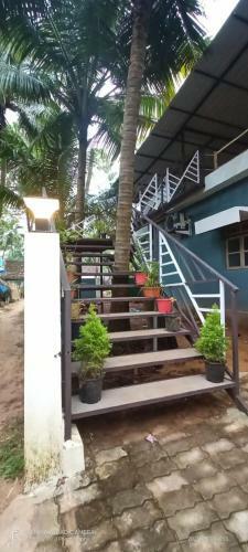 Hostal Thyme Guest House