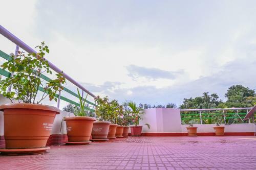 Kanchan's Nest