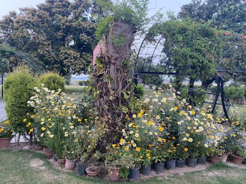 Agroturismo Mango Grove Farm