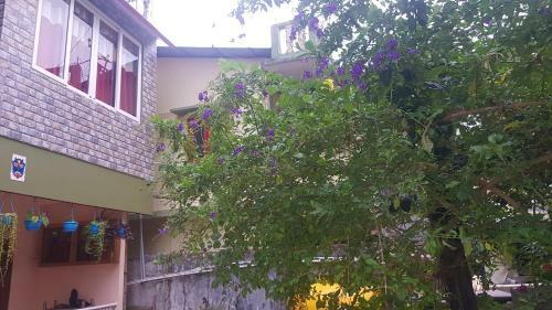 Bed & Breakfast Abhi's Homestay