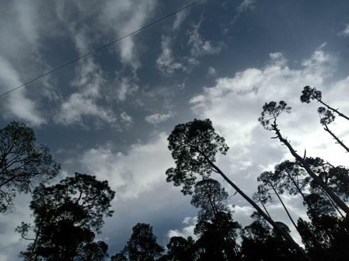 Hotel The Ranikhet Continental