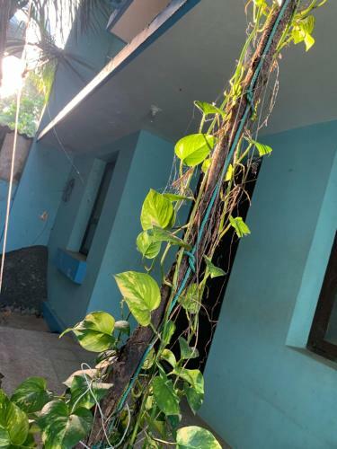 Hostal Models Service Apartments