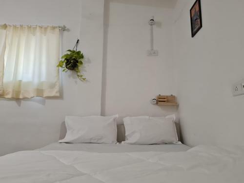 Hoshtel99 - Stay, Cowork & Cafe - A Backpacker Hostel
