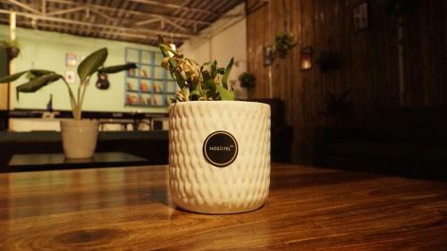 Hoshtel99 - Stay, Cowork & Cafe - A Backpacker Hostel