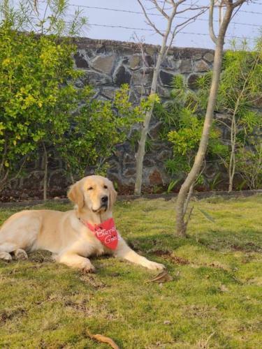 Villa The White Haven - A Countryside Hideaway Near Pune