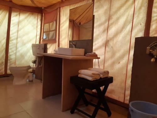 Agroturismo The Jungle Camp - Wildlife Resort