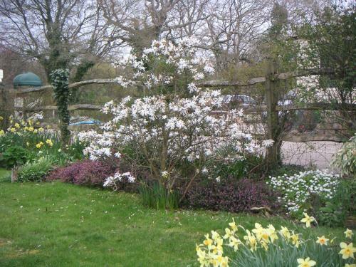 Bed & Breakfast Woodgate Farm