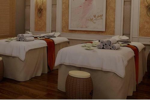 A Majestic Luxurious Rajasi Villa Overlooking The Ganges