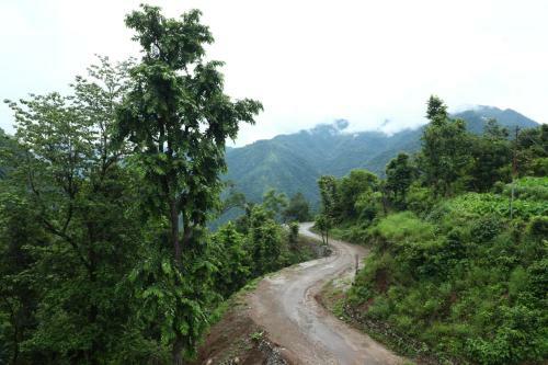 Kyarki Homestay