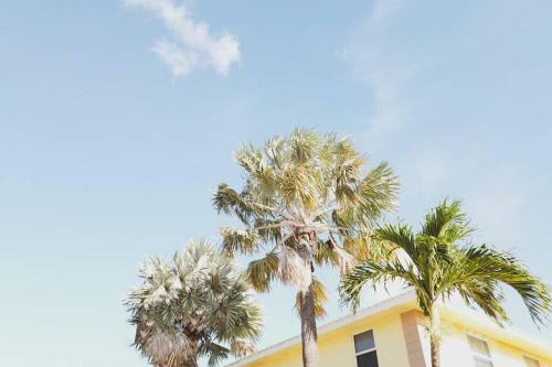 Apartamento Serenity At Seascape: Steps To The Beach & Shops