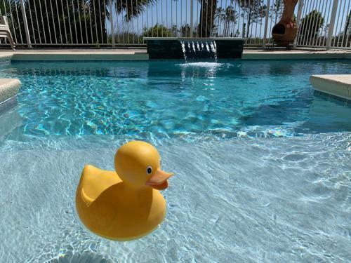 Cape San Blas Gulf Front, Pool, Gear, Pet Friendly, Private Beach Access