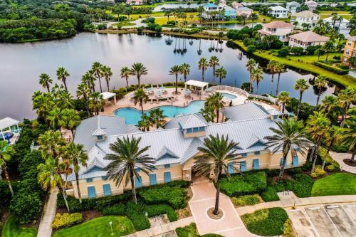 Paradise Palm