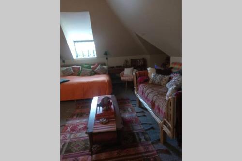 Apartamento Huge Downtown Executive Apt-avail Monthly,