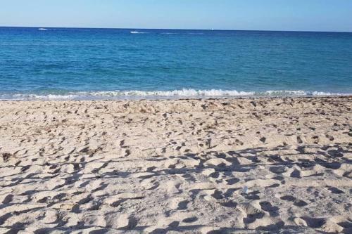 Beautiful Apartment Steps Away From The Beach