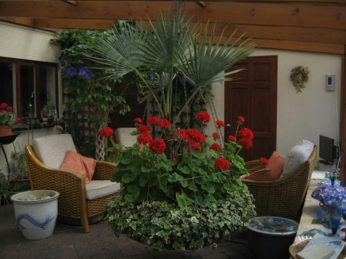 Woodshoot B&B