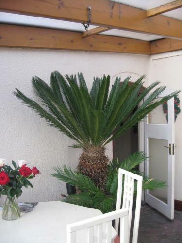 Woodshoot B&B