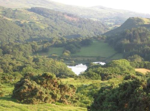 Bed & Breakfast Bryn Derw