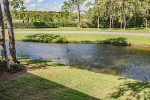 Saddlebrook Unit 3130 - Lakeview Oasis