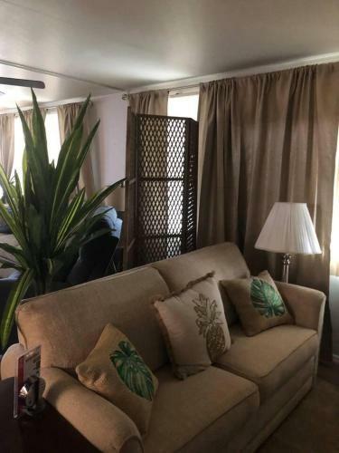 Florida Sunshine Cottage