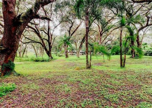 Cheerful 3 Bedrooms Home On 3.5acres Rv Parking