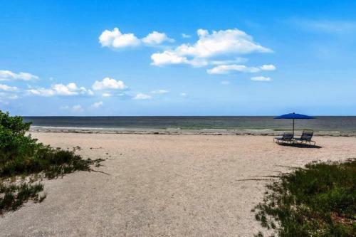 Apartamento F2 1bed & 1bath