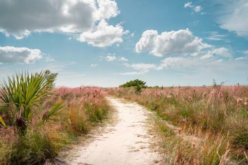Coastal Beauty - A Beautiful New Property Close To Everything