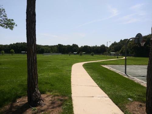 Tampa Citrus Park