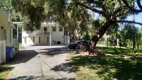 Tampa Lakehouse