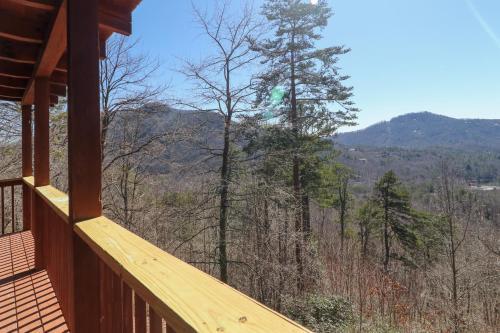 Black Bear Cabin