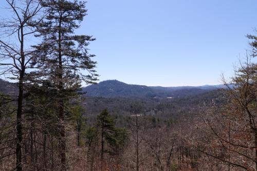 Black Bear Cabin