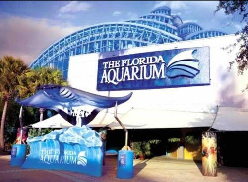 Apartamento #1 St.pete Beach Unit*walk To Bars, Beaches, Restaurants And More.