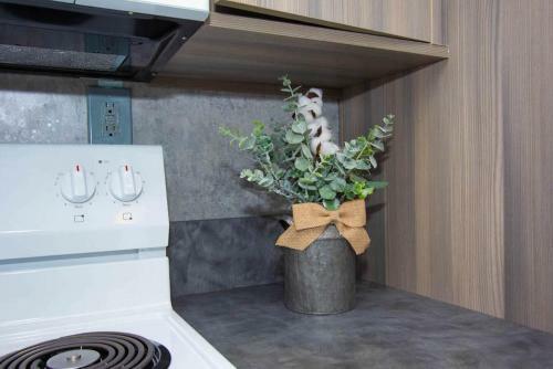 Apartamento #1 St.pete Beach Unit*walk To Bars, Beaches, Restaurants And More.