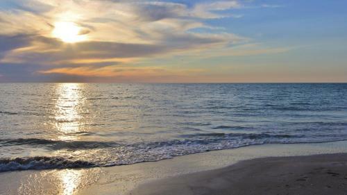 Royal Orleans By Teeming Vacation Rentals