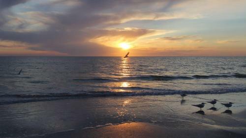 Sea Breeze By Teeming Vacation Rentals