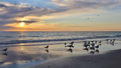 Sea Breeze By Teeming Vacation Rentals