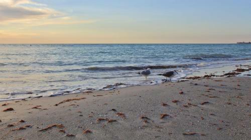 Sea Breeze By Teeming Vacation Rentals