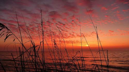 Sunset Chateau 207 Beachfront With Many Updates On Sunset Beach